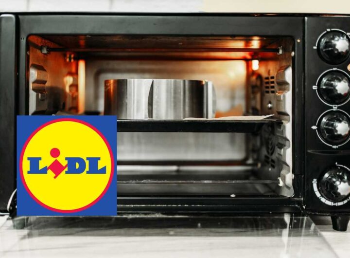 miniforno Lidl, sostituisce forno e friggitrice ad aria