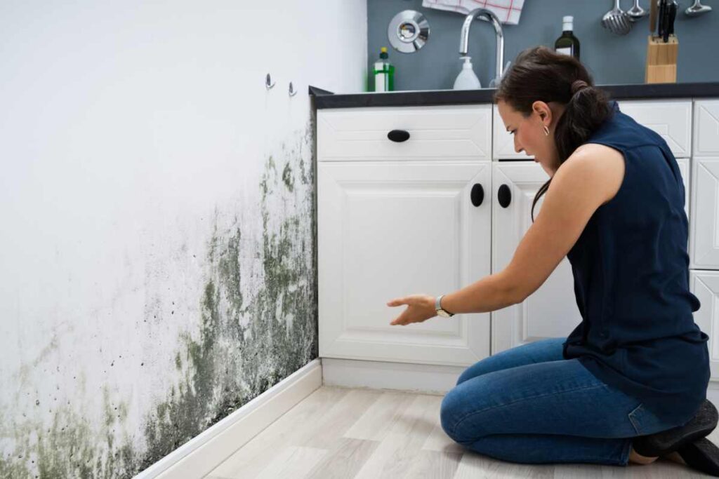 muffa rimedi naturali