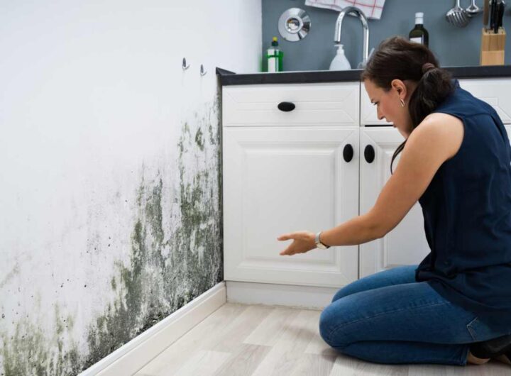 muffa rimedi naturali