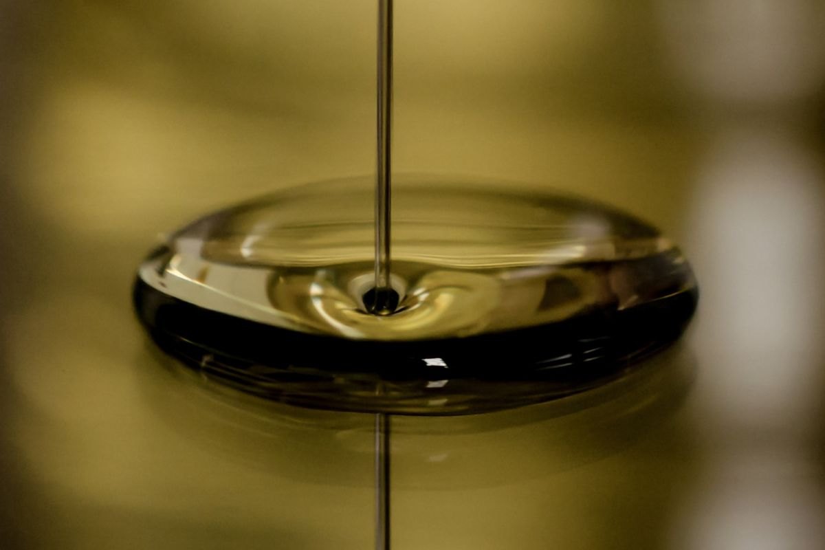 Le marche migliori in Italia di olio