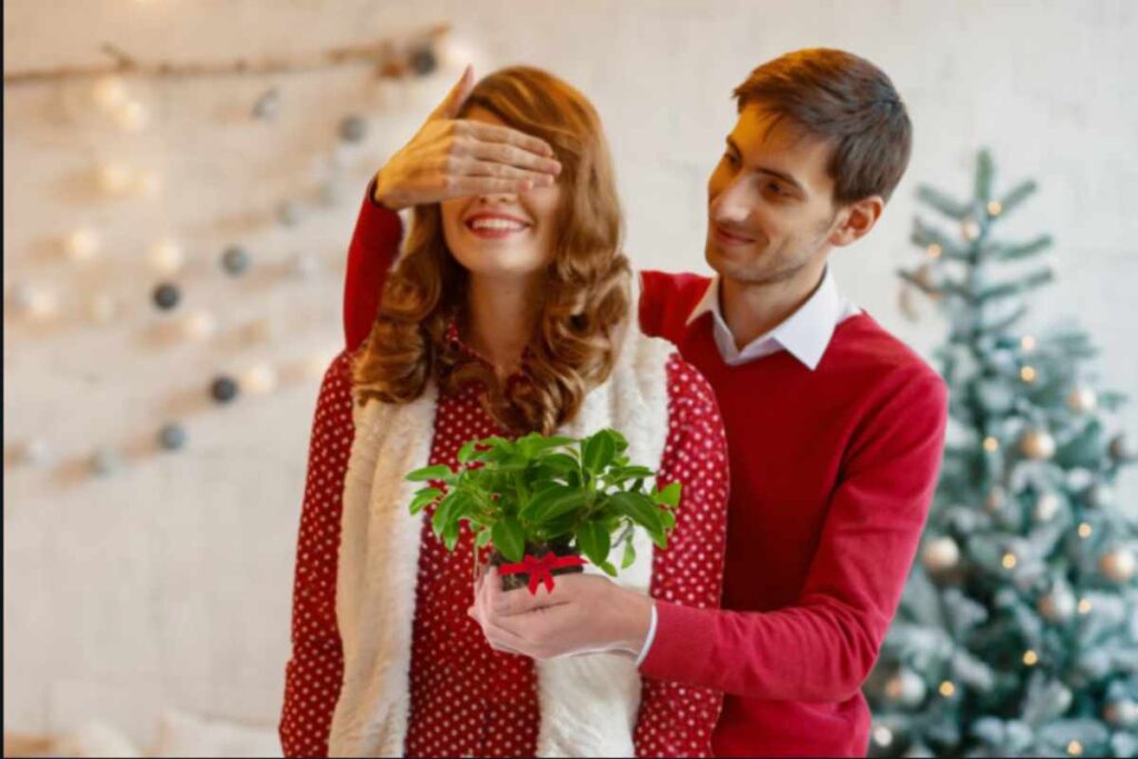 alternativa stelle di natale 2025