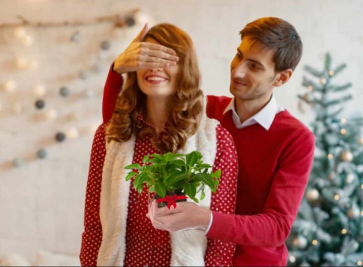 alternativa stelle di natale 2025