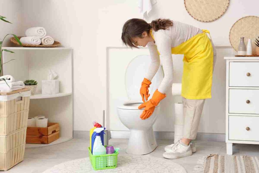 pulire il WC senza candeggina