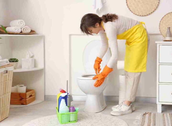 pulire il WC senza candeggina