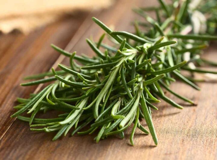 Consigli per fare crescere il rosmarino a casa