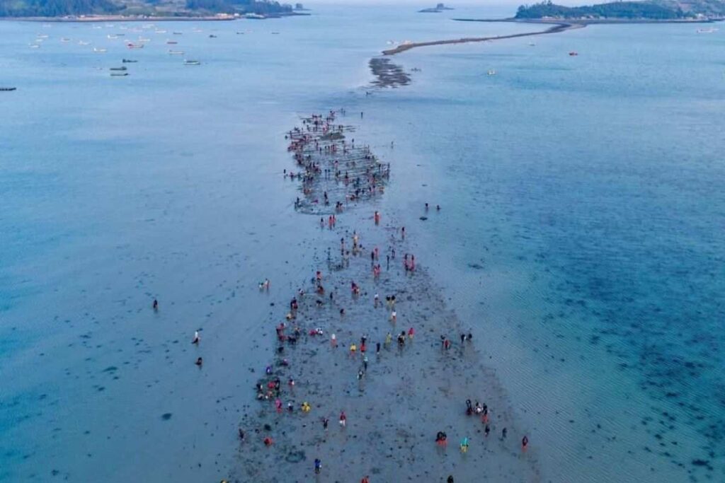 il sentiero di Jindo