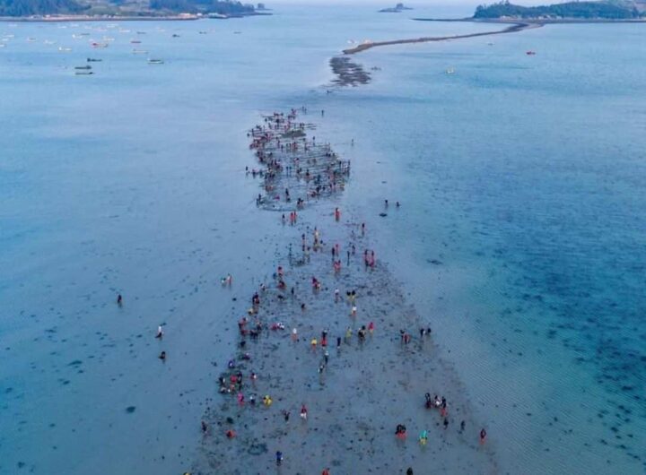 il sentiero di Jindo