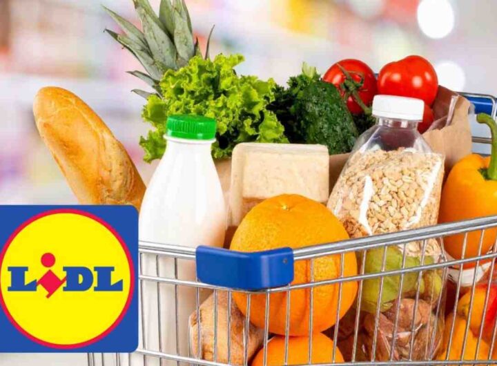 spesa lidl