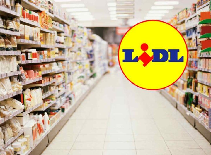 set piatti lidl come zara home: a soli 15 euro