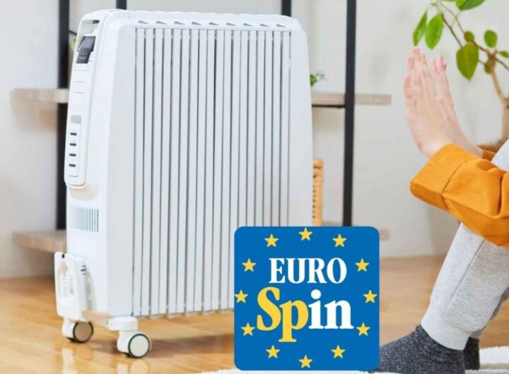 termosifone eurospin
