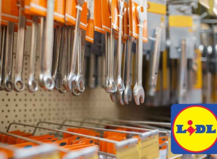 utensili lidl