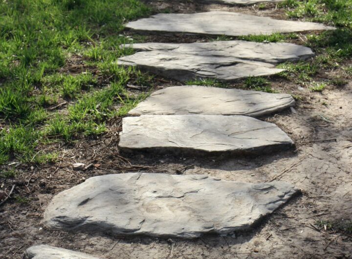 La via degli Dei: il cammino sull'appennino tosco-emiliano
