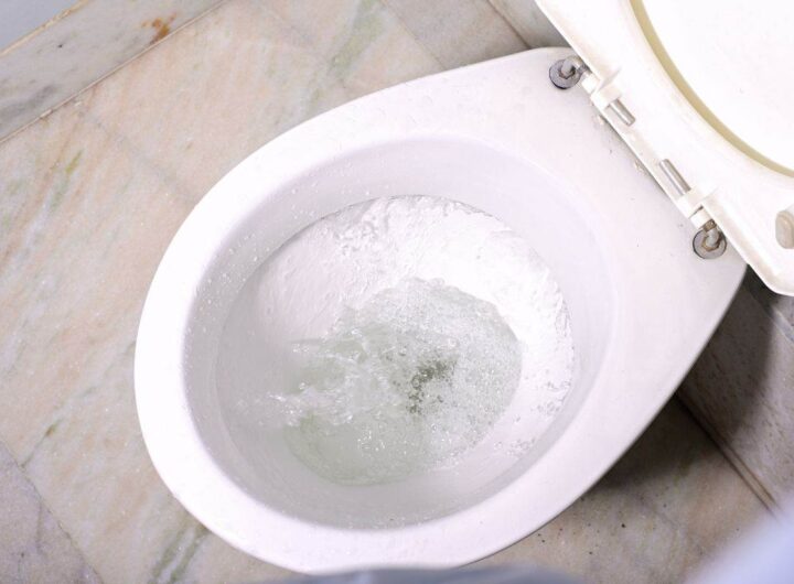 come pulire il fondo del wc come negli hotel