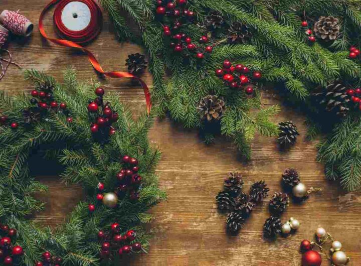 Mai più Natale senza fiori