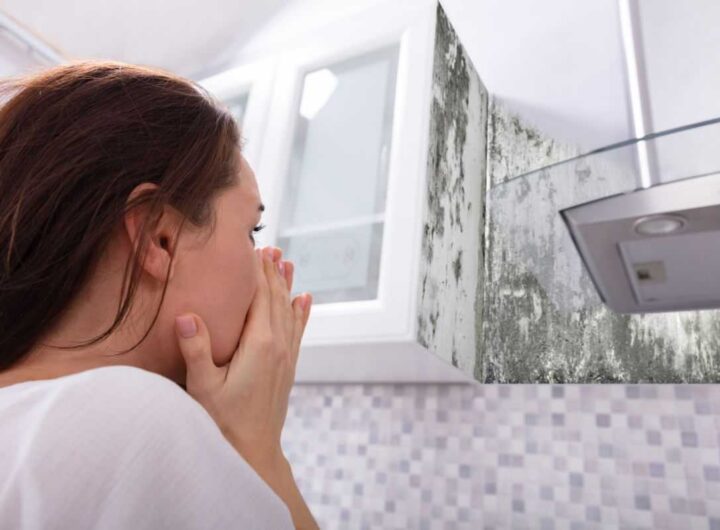 muffa sui muri i rimedi della nonna