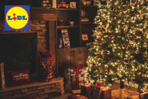 Natale low cost, da LIDL tornano le piante più amate