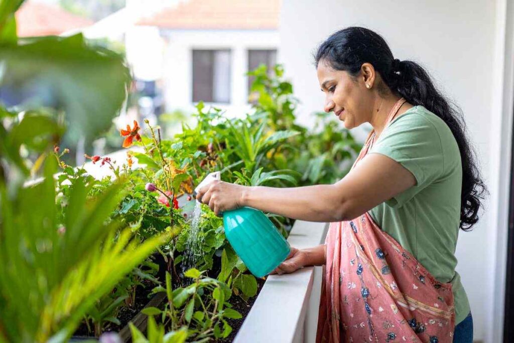 Pianta perfetta per balconi e giardini