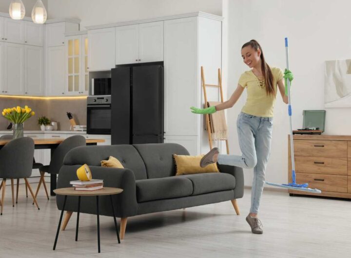 Donna pulizie casa