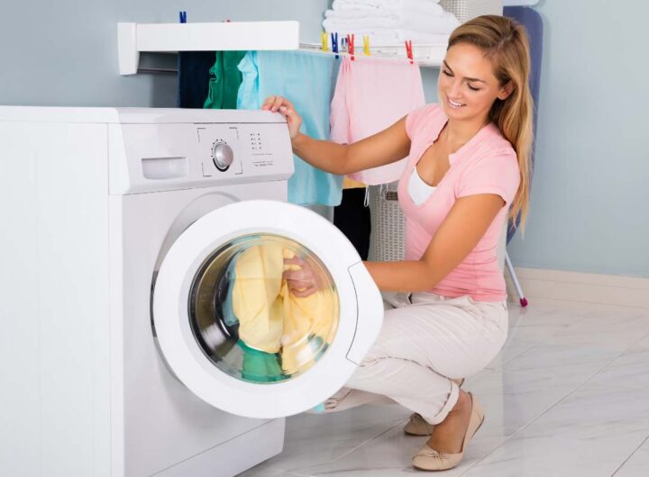 asciugatrice lanugine