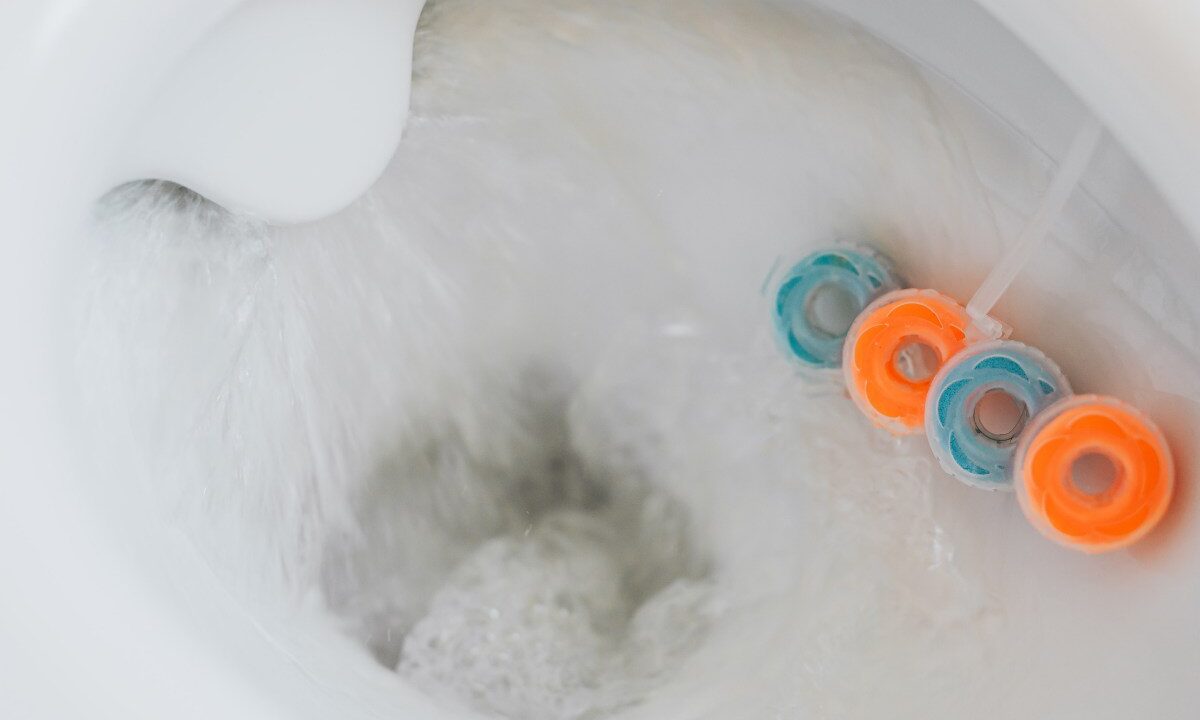 pastiglie wc dove mettere