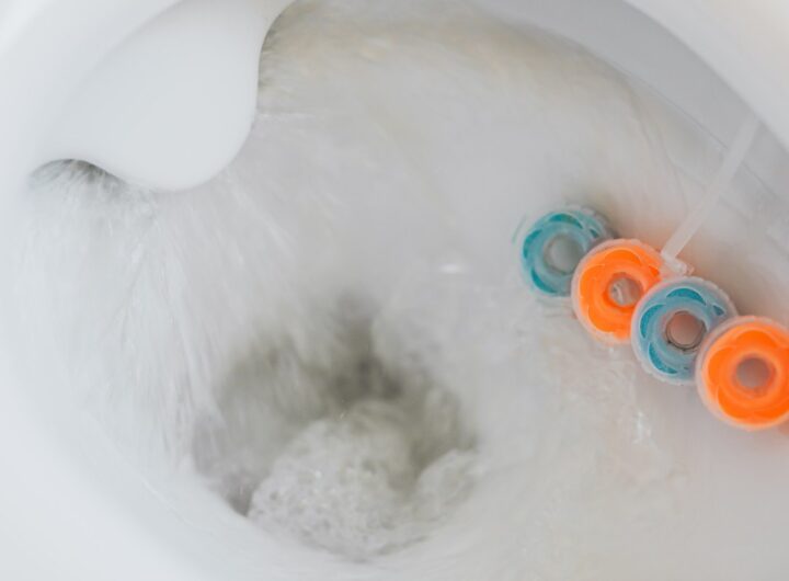 pastiglie wc dove mettere