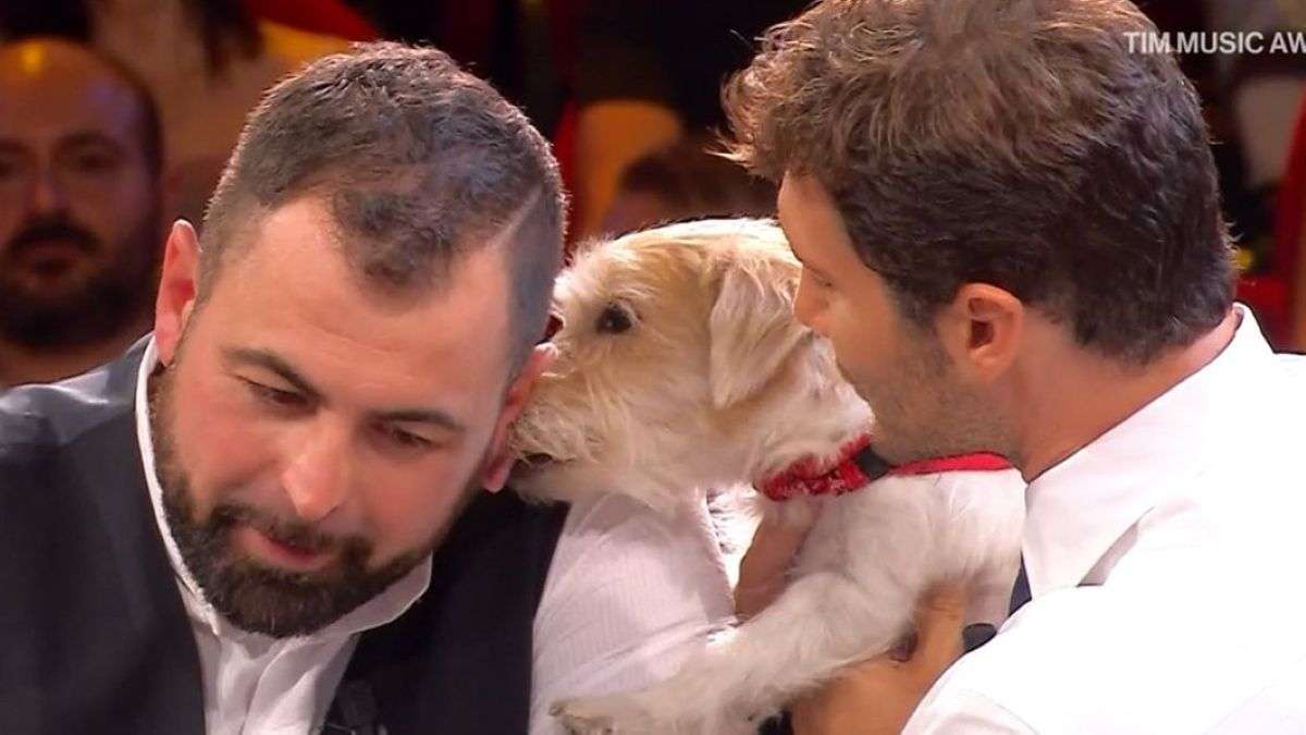 Gennarino e Stefano de Martino insieme ad un concorrente
